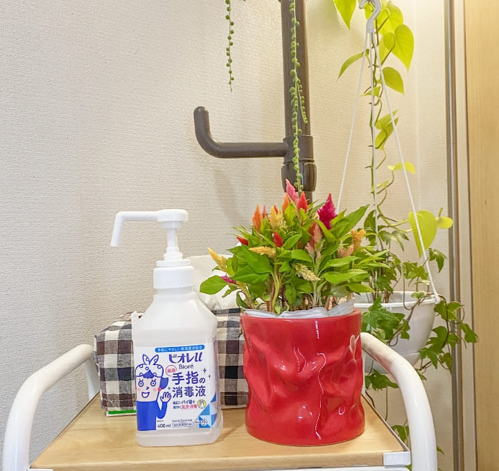 お店の入り口にある消毒の写真