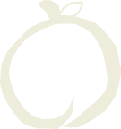 あんずのイラスト